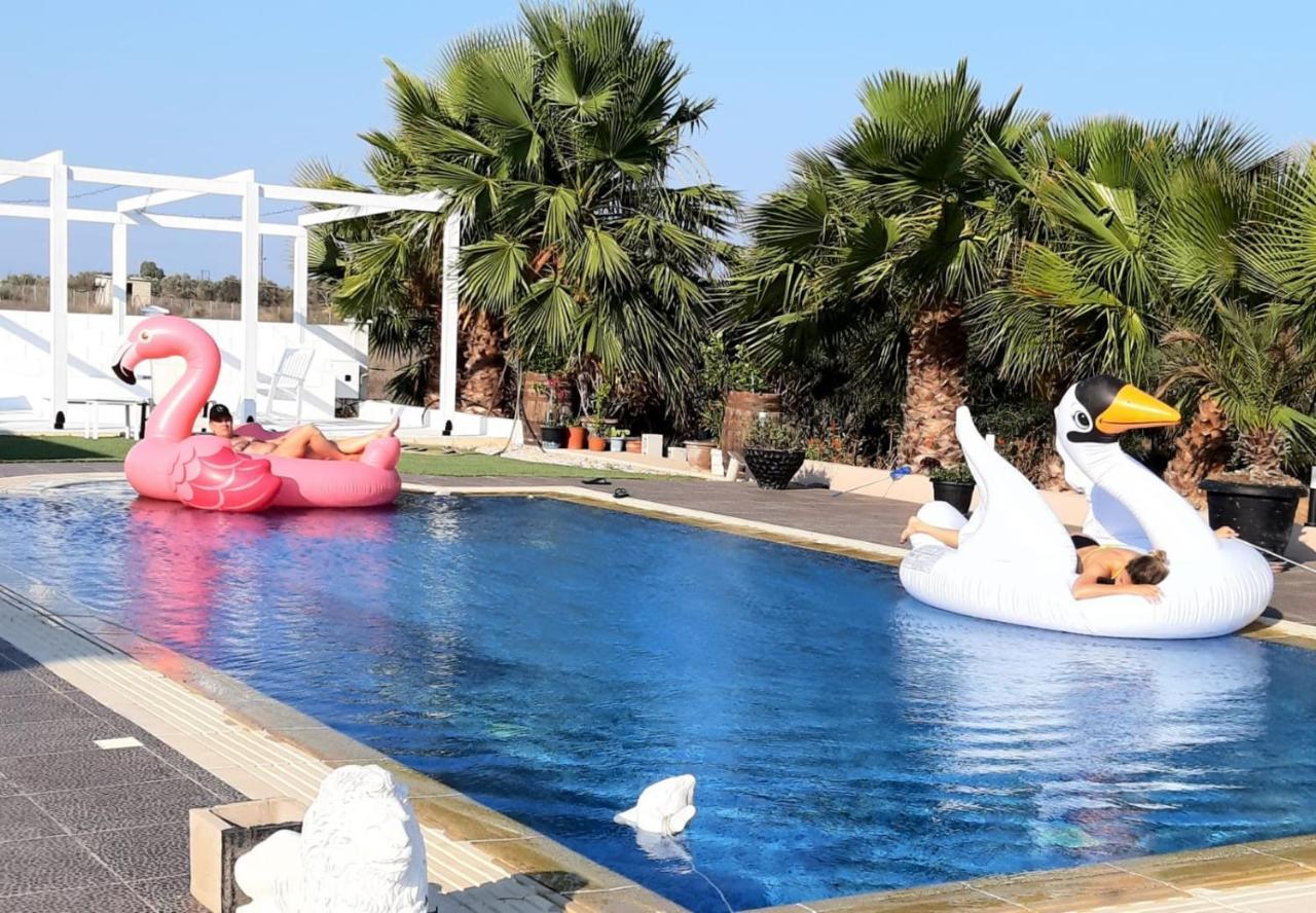 The Pervoli Studio - Pool - Close To Beach Larnaca Buitenkant foto