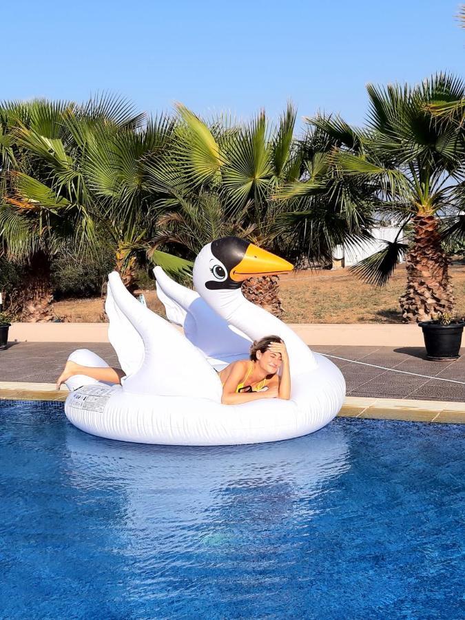 The Pervoli Studio - Pool - Close To Beach Larnaca Buitenkant foto